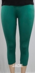 Ladies Plus Size Leggings LL1263